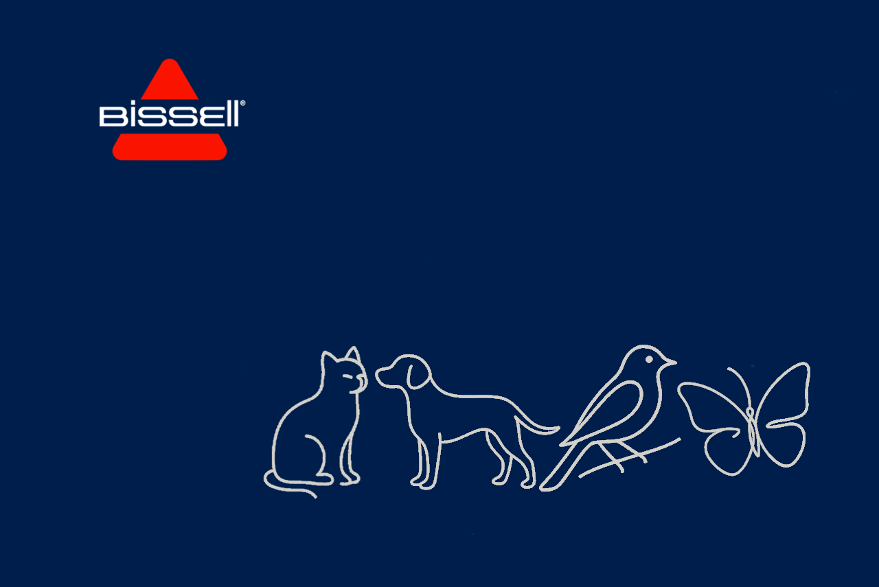 4 Ekim Hayvanları Koruma Günü