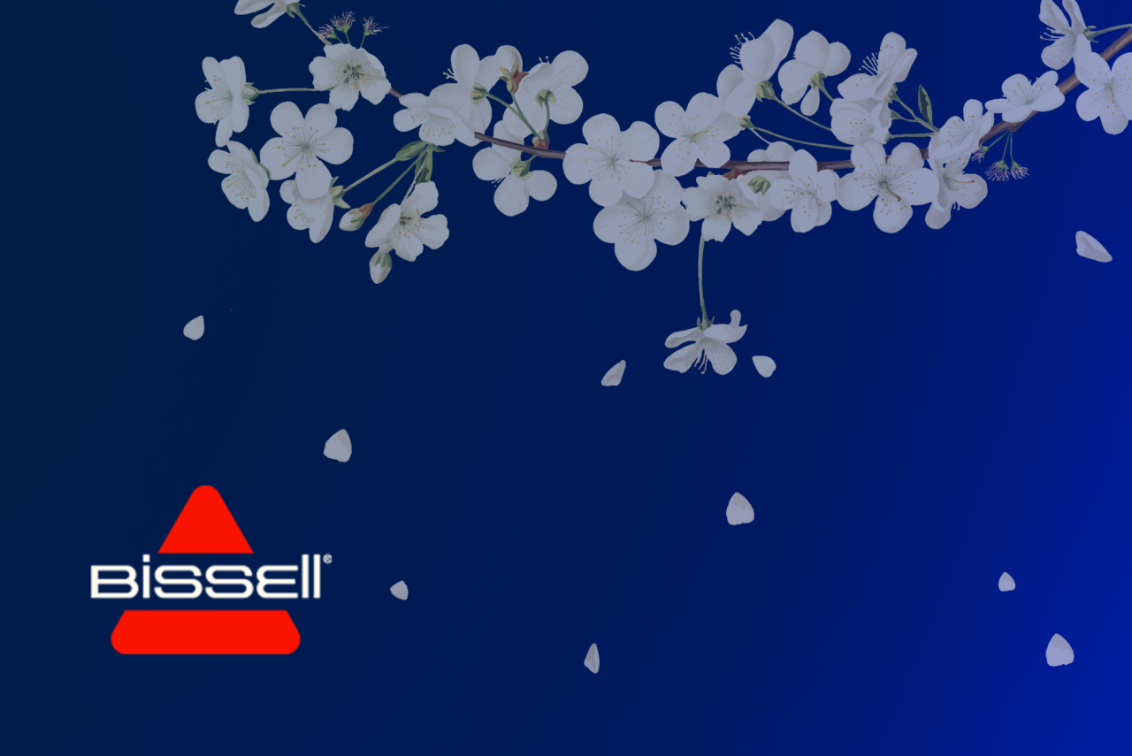 Bahar Temizliği Nedir ve Nasıl Yapılır?